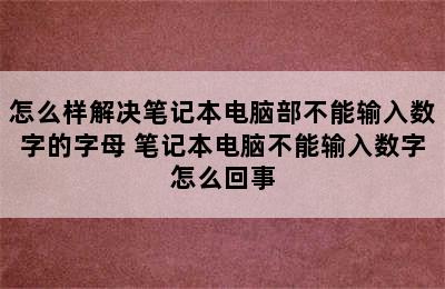 怎么样解决笔记本电脑部不能输入数字的字母 笔记本电脑不能输入数字怎么回事